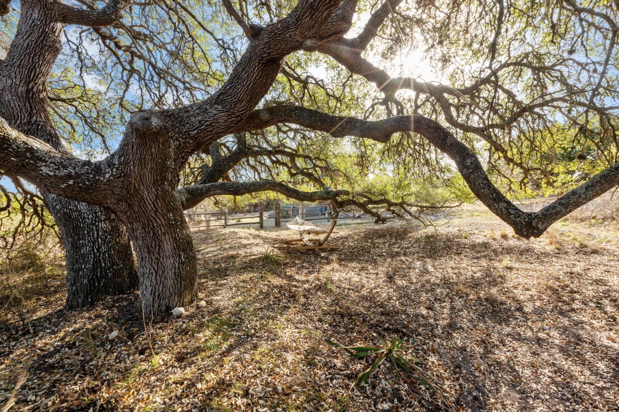 Mighty Oak Log Cabin Fredericksburg Esterno foto